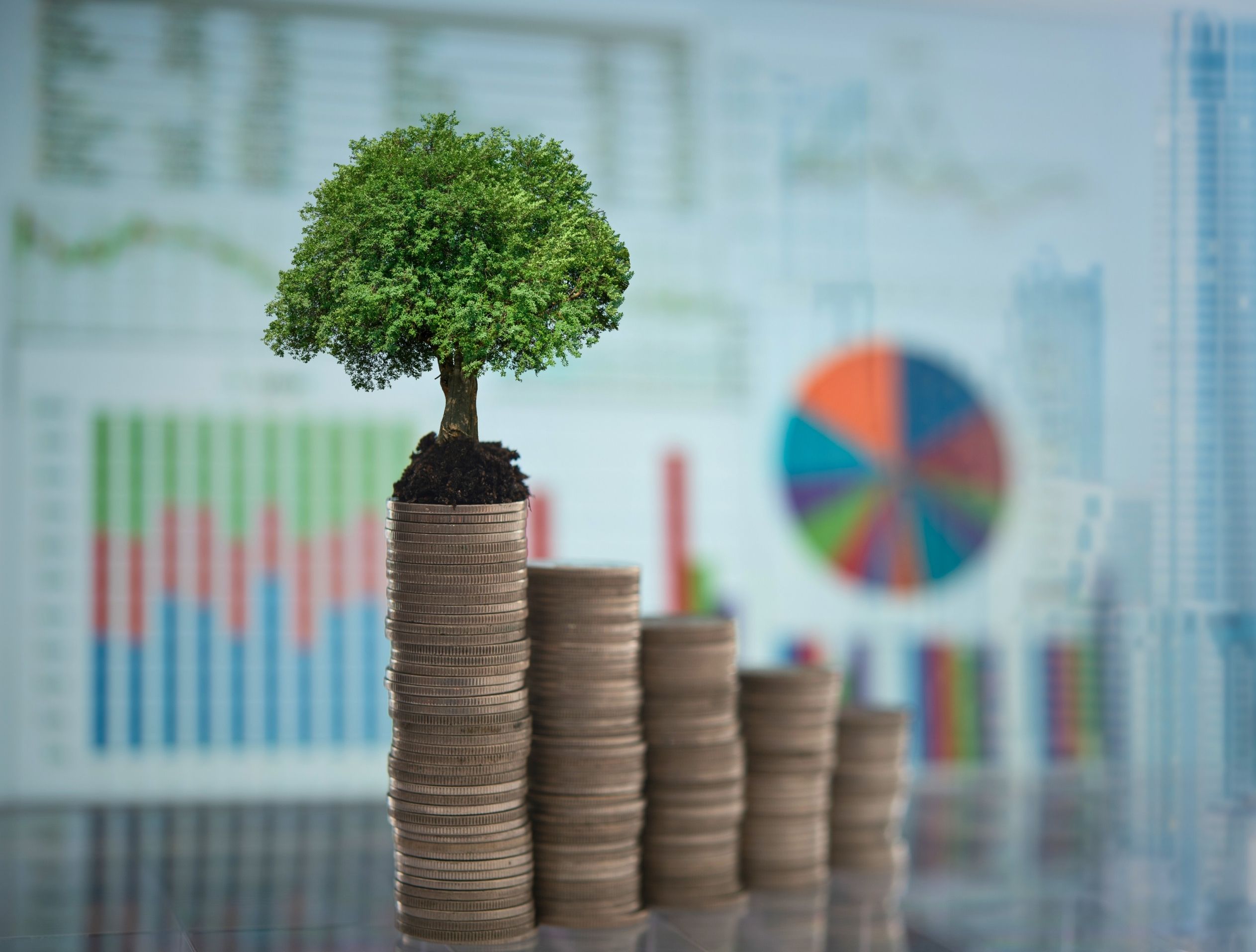 Territorio Negocios: Finanzas verdes: beneficios para tu portafolio